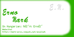 erno mark business card